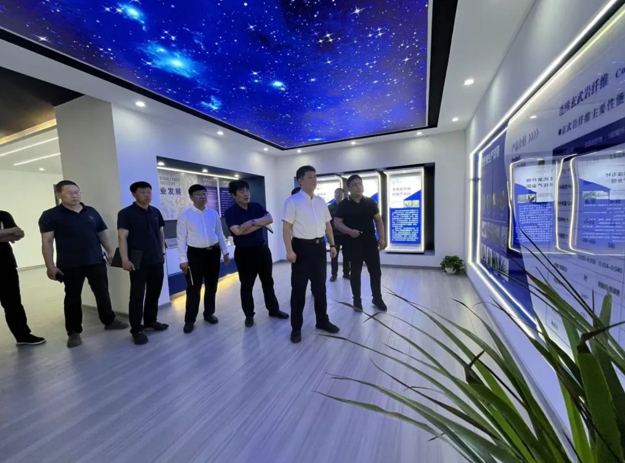 县政府主要领导督导调研重点项目 图 2